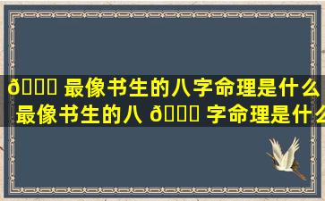 🐅 最像书生的八字命理是什么（最像书生的八 🐞 字命理是什么意思）